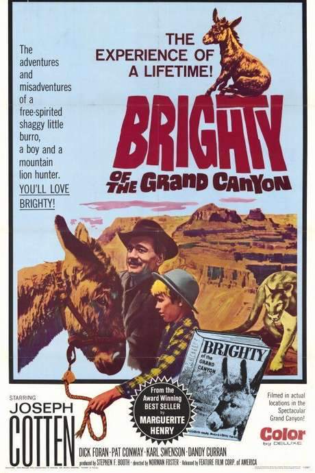 Brighty of the Grand Canyon